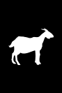 Vignette lait de vache