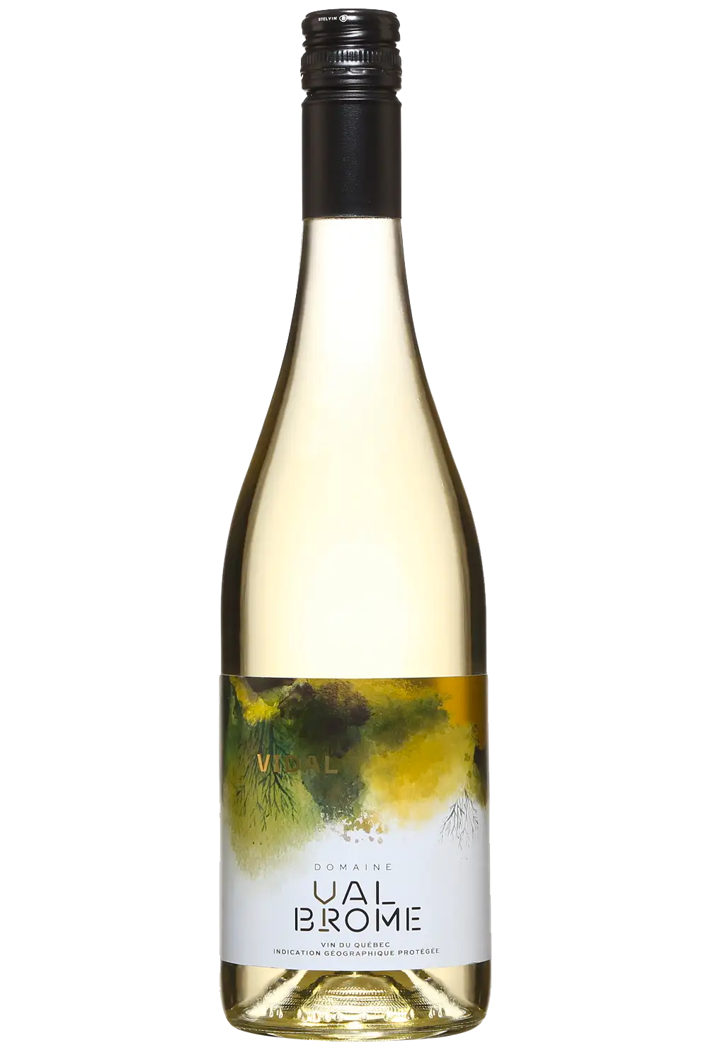 Domaine ValBrome Vidal 2024