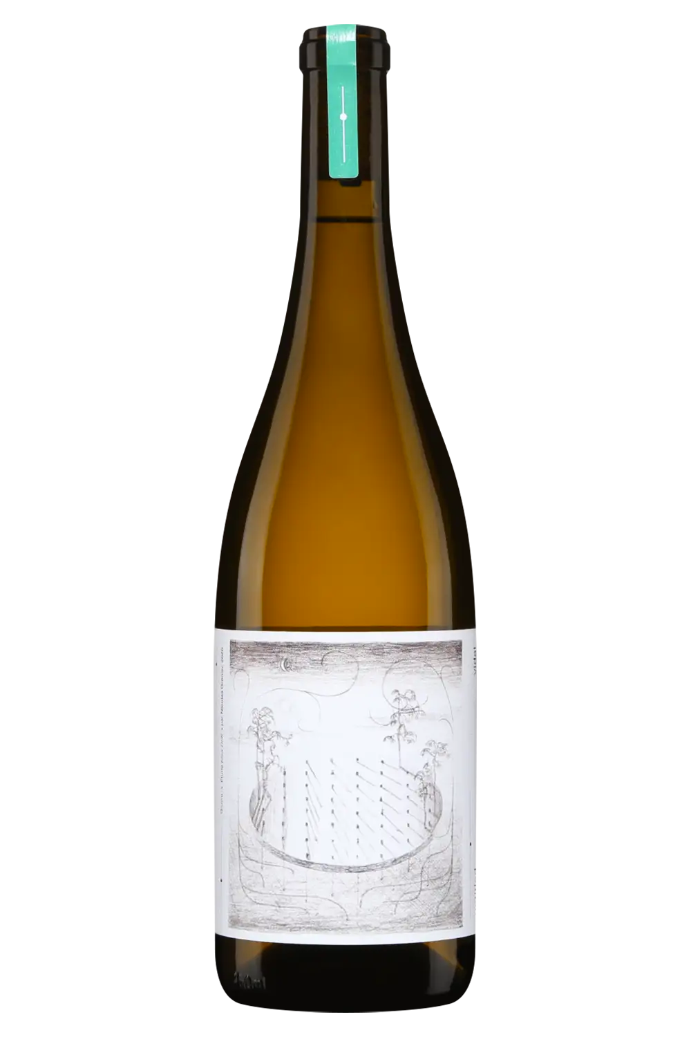 Vignoble l'Arpège Vidal Untitled