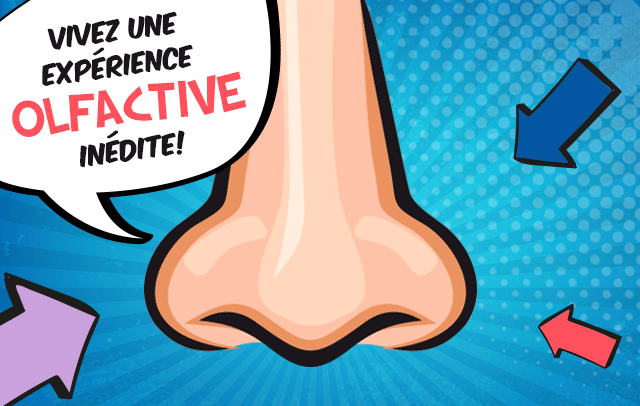 Finalistes 2017 teaser